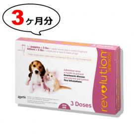 レボリューション子犬子猫用(体重2.3kg以下)　1箱