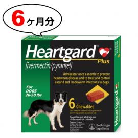 ハートガードプラスM(体重11.5〜22.7kg)カルドメック　1箱