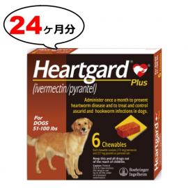 ハートガードプラスL(体重22.7〜45.4kg)カルドメック　4箱