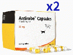 アンチローブ | 25mg | 犬猫用 | 80錠x2本