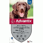 フォートレオン | 大型犬用 | 25kg-40kg | 4本入