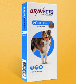ブラベクト錠 大型犬用 20-40kg  フララネル1000mg