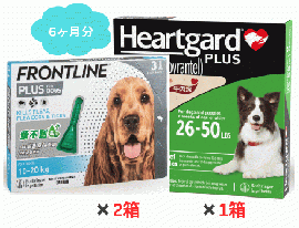 犬用ハートガードプラスとフロントライン M 6ヶ月分お得セット(11.5kg〜22.7kg)