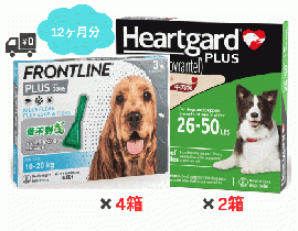 犬用ハートガードプラスとフロントライン M 12ヶ月分お得セット(11.5kg〜22.7kg)