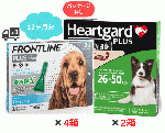 犬用ハートガードプラスとフロントライン M 12ヶ月分セット(11.5kg〜22.7kg)|箱無し