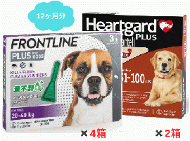 犬用ハートガードプラスとフロントライン L 12ヶ月分お得セット(22.4kg〜45.4kg)