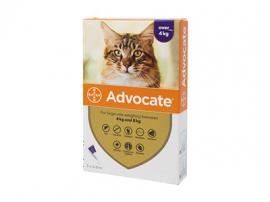アドボケート猫用(体重4kg以上)　3本入