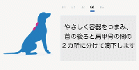 フロントライン・トライアクト超小型犬用(2〜5kg)3本入り