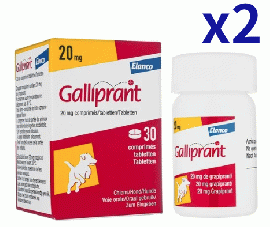 ガリプラント 20mg 30錠x2箱 | 骨関節炎治療 | EP4 | 選択的拮抗薬 | 消炎鎮痛剤