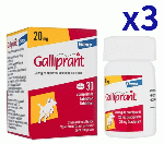 ガリプラント 20mg 30錠x3箱 | 骨関節炎治療 | EP4 | 選択的拮抗薬 | 消炎鎮痛剤